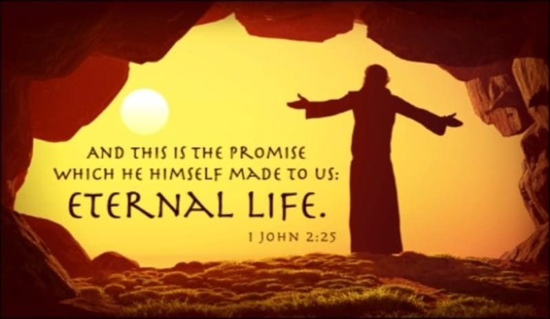 40584-15303-eternal-life-grave.800w.tn.jpg