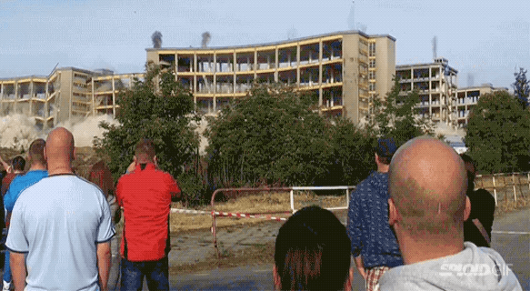 IMG-5055.gif