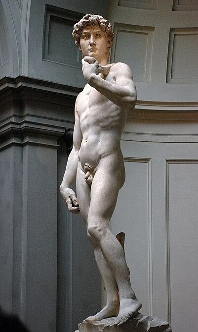 401px-Michelangelo%27s_David.JPG