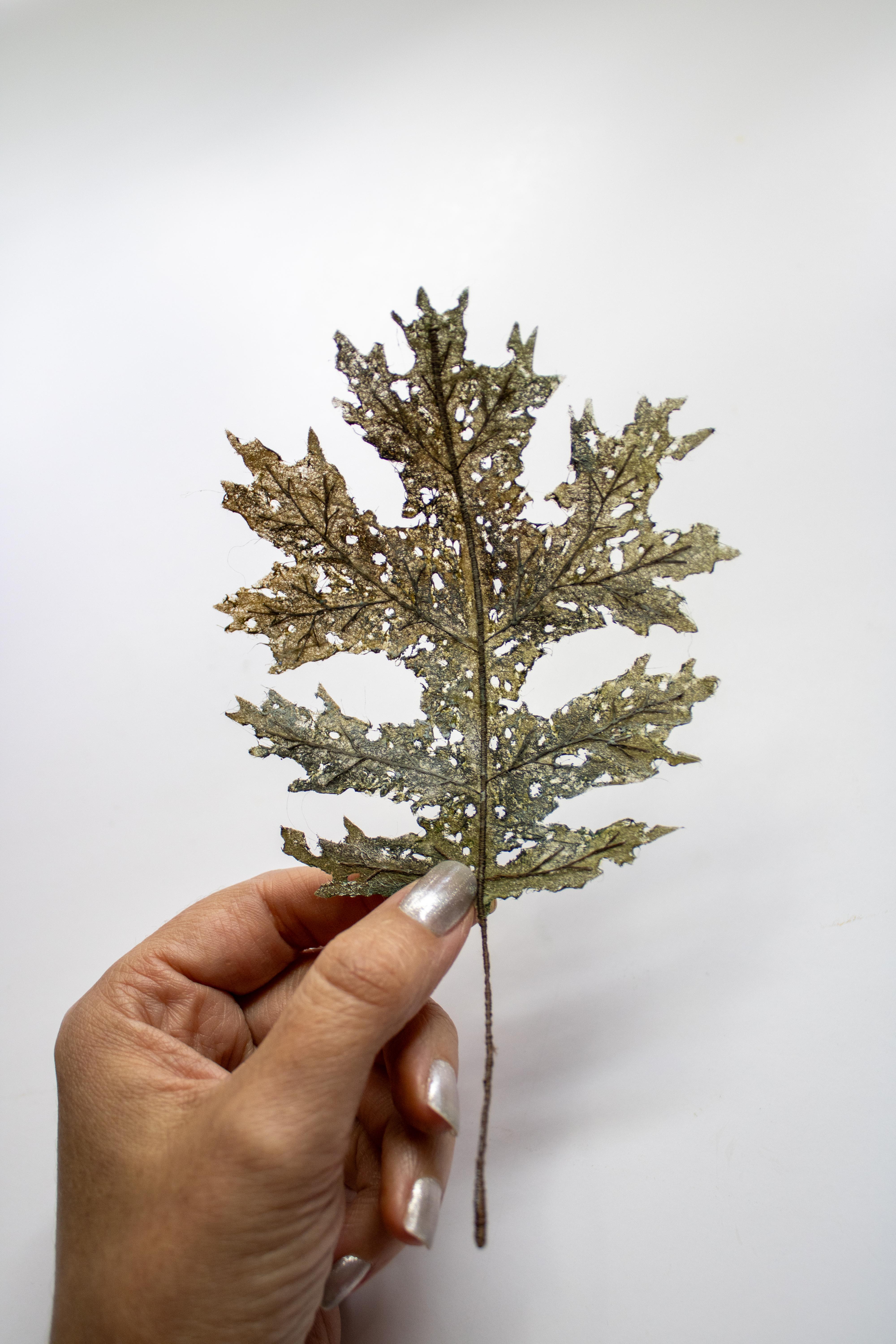 r/Embroidery - A realistic leaf I embroidered this week