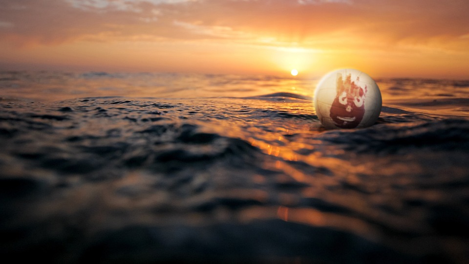 wilson-3804744_960_720.jpg