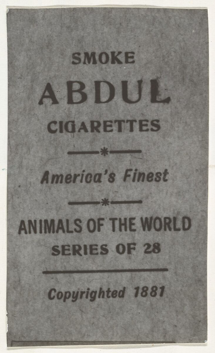 www.metmuseum.org
