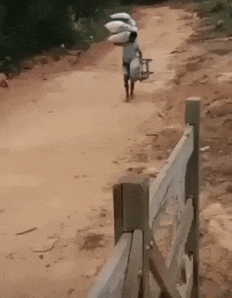 IMG-4917.gif