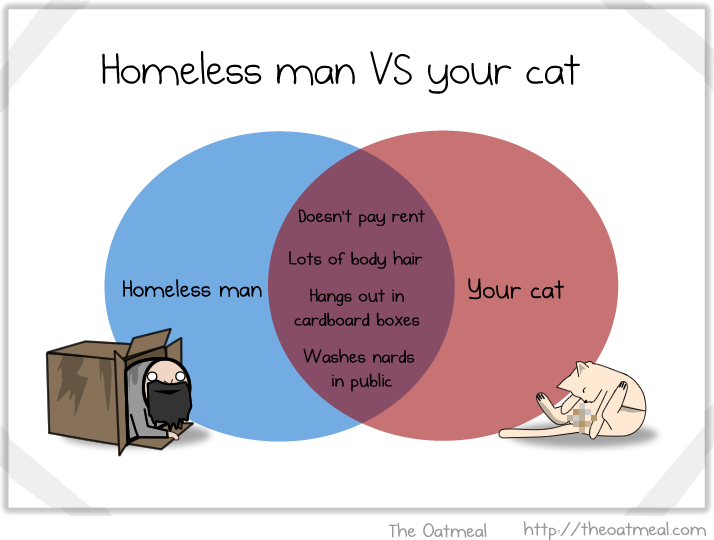 homeless_vs_cat.png
