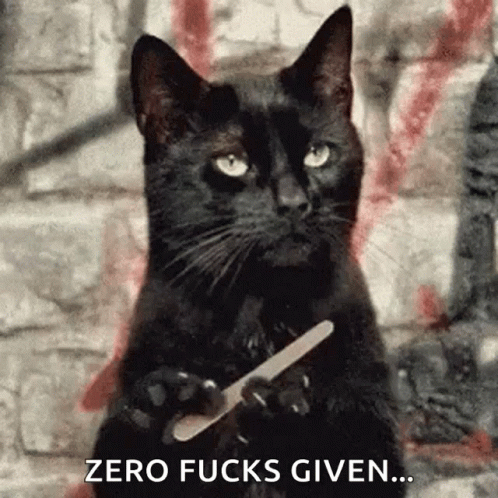 black-cat-zero-fucks-given.gif
