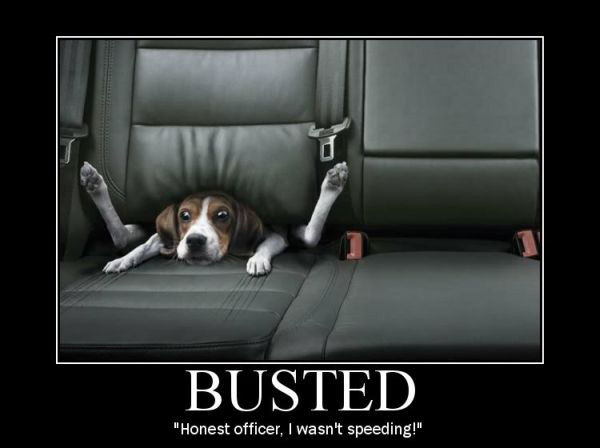 car-humor-funny-joke-busted-speeding.jpg