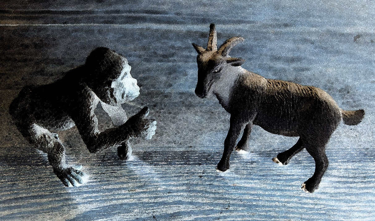 goat-ape.jpg