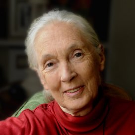 Jane-Goodall-pic.jpg