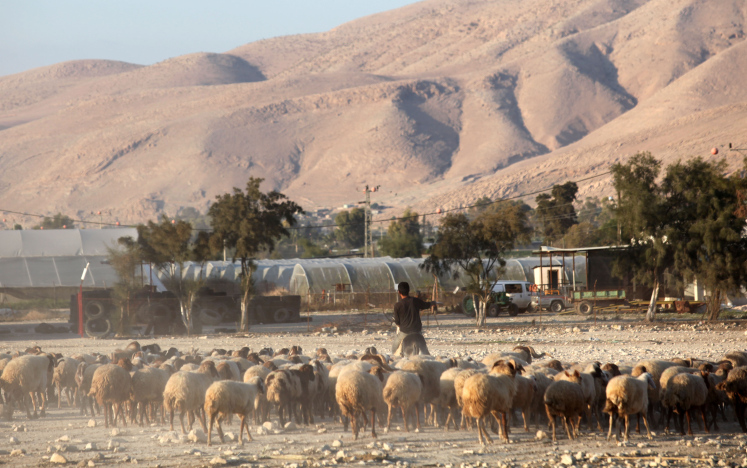 www.timesofisrael.com
