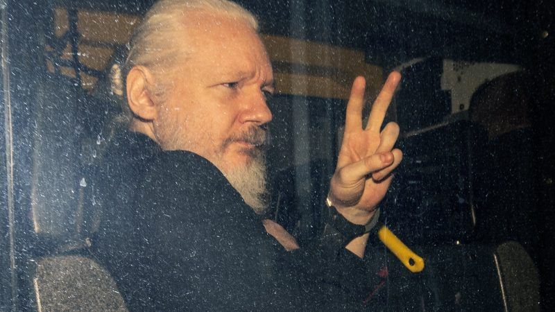Julian-Assange-Newscom-cropped-800x450.jpg