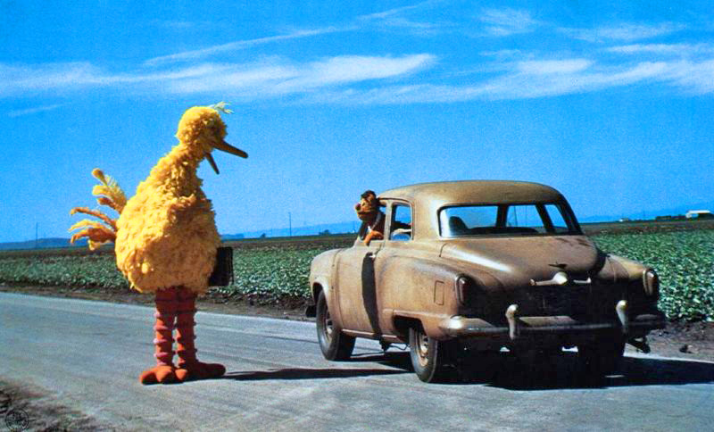 TMM-Promo-BigBird.jpg