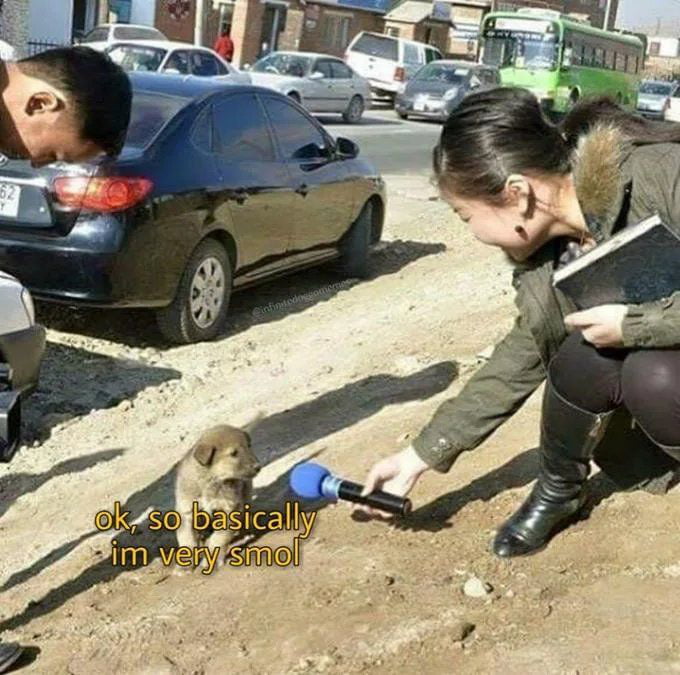 aJxDlxG1_700w_0.jpg