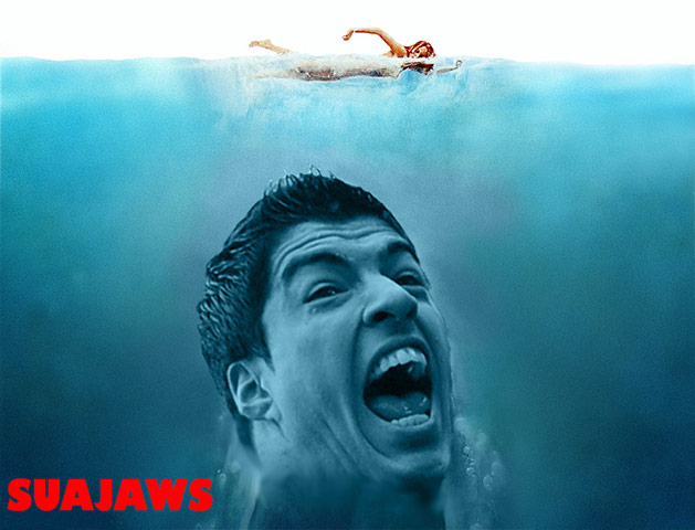 Suajaws-003.jpg