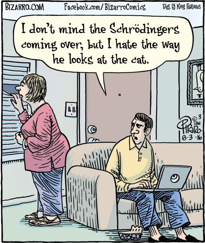 LOL2018-schrodinger.gif