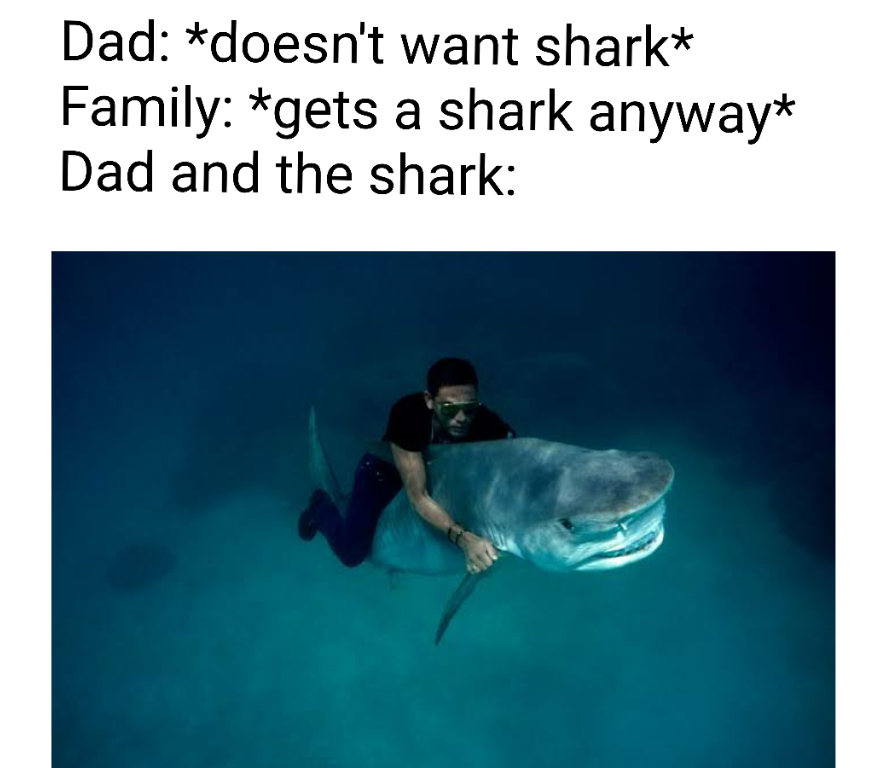 736.png