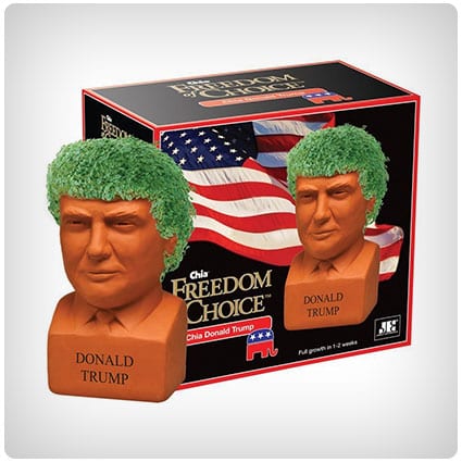 Chia-Pet-Donald-Trump.jpg