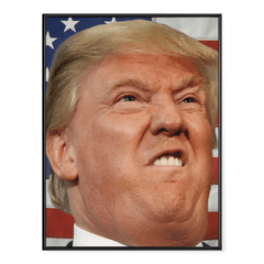 Donald_Trump_Face_V2_mockup_medium.png