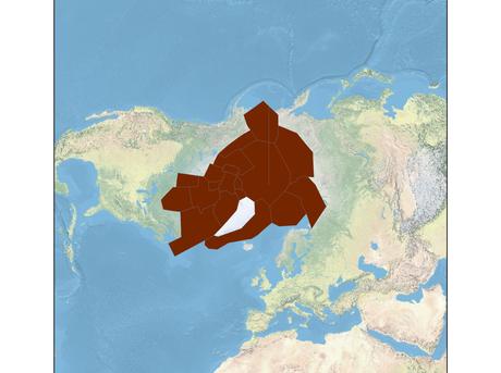 polar bear range map