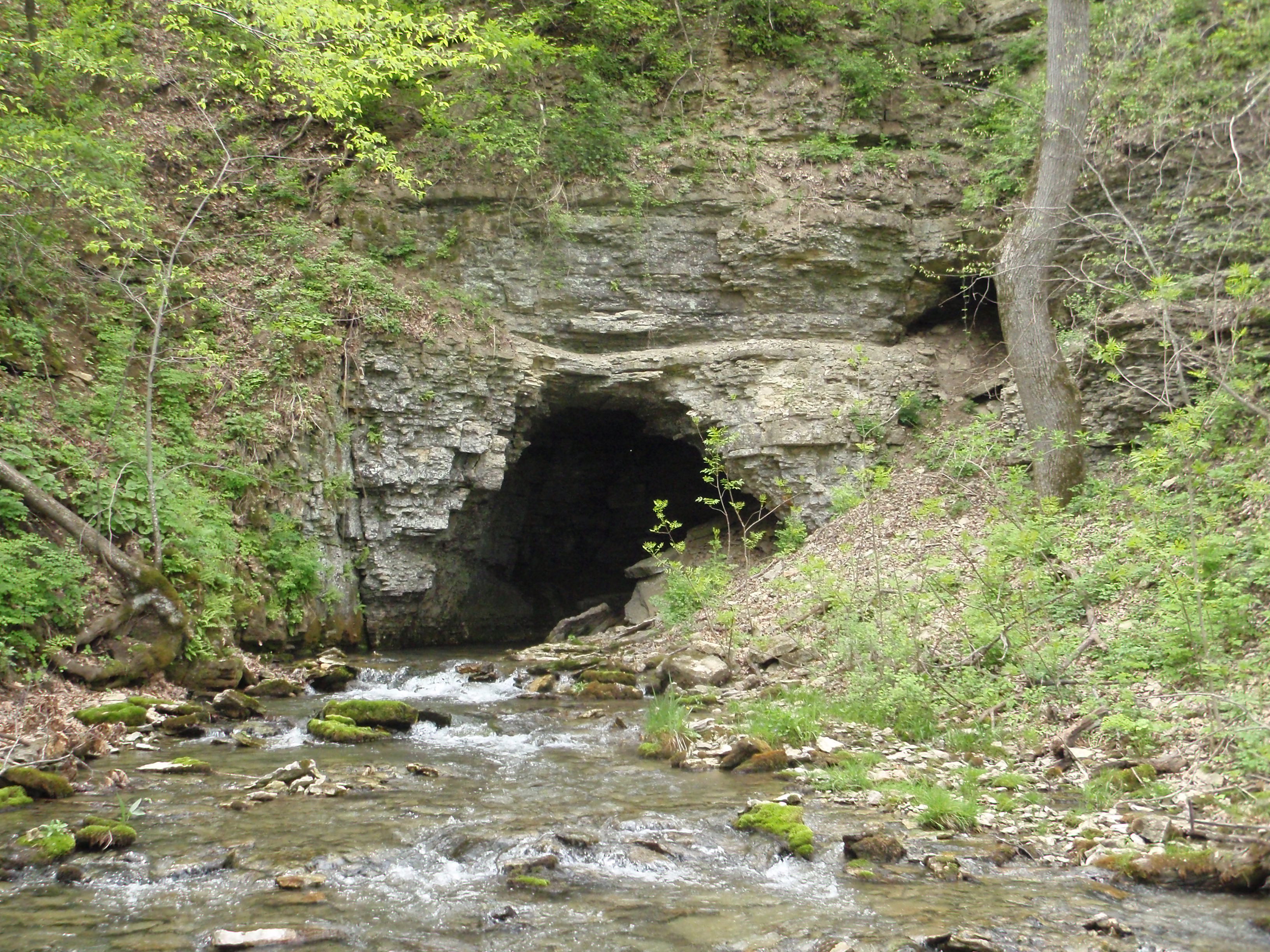 www.pca.state.mn.us