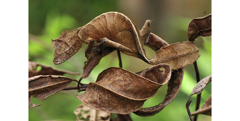 2IN7IA6RCIHFIE48-fram810x410x810x410xxxx