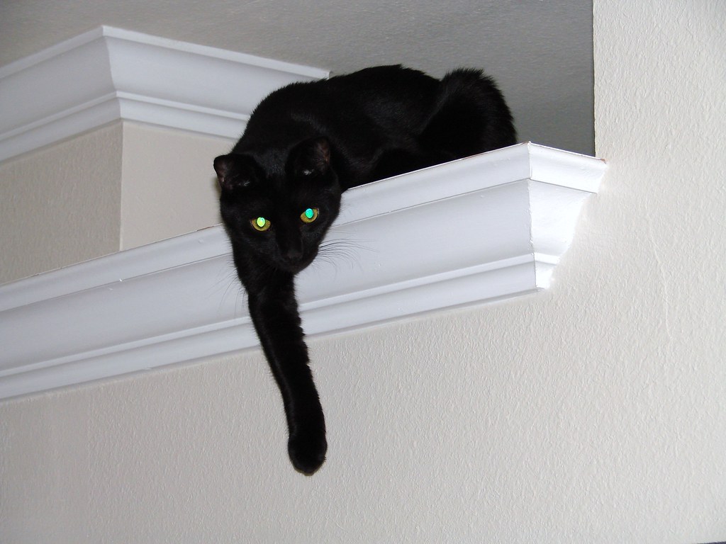 4171821382_0b633fdc33_b.jpg
