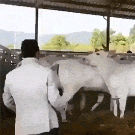 m18.gif