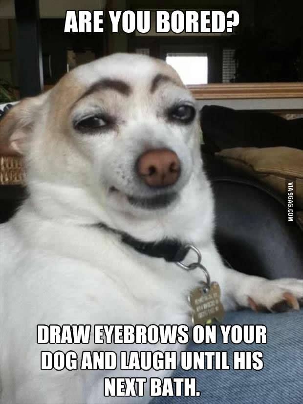 1ea0a9f0c5689b26d4c94853bc1f7e08.jpg