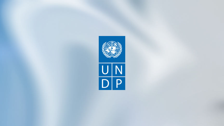 www.undp.org