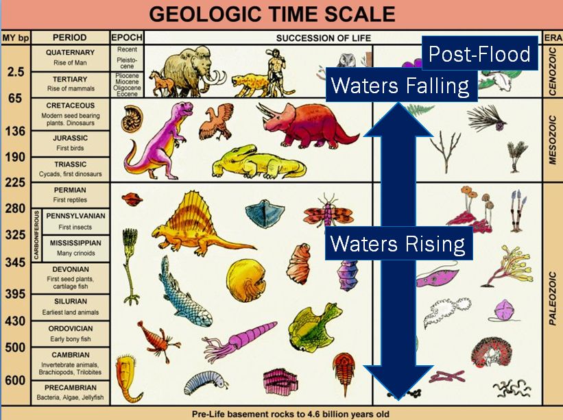 geologic-timescale-converter.jpg
