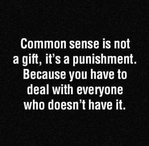 Common-sense-is-not-a-gift.jpg