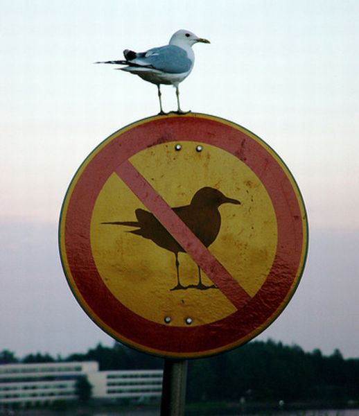 paradoxical_signs_640_10.jpg