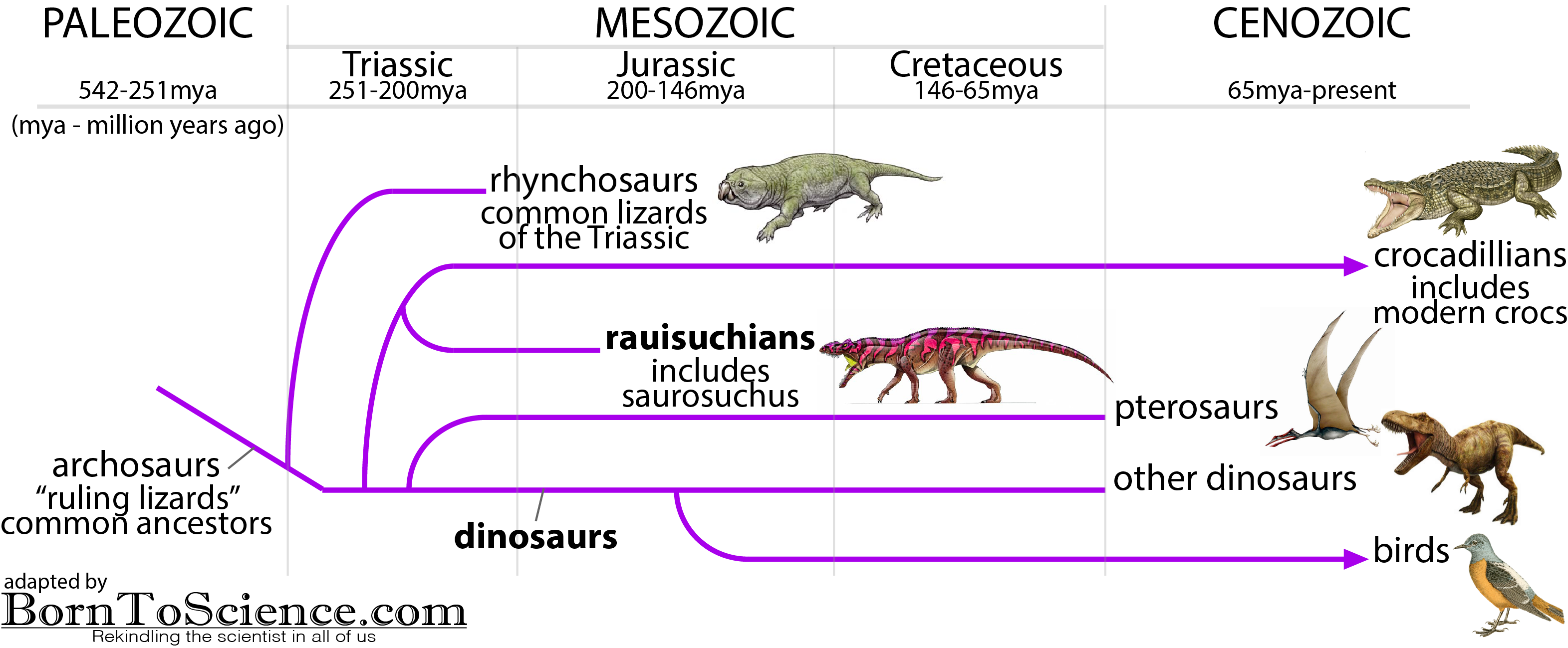 dinosaurs.png
