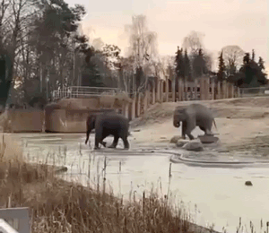 tumblr_d63612c548d7c55ce0c6de0e077bf582_55649be9_400.gif
