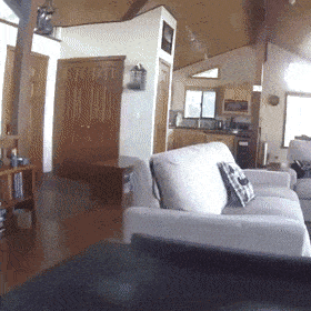 m2.gif