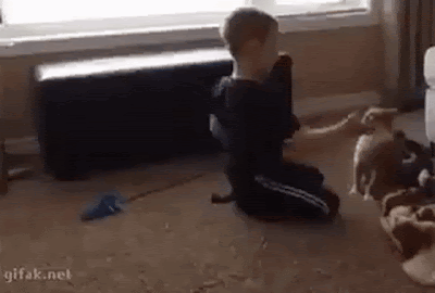 daily_gifdump_5077_46.gif