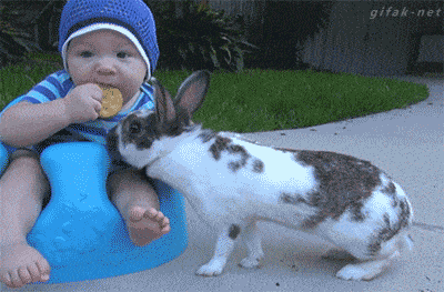 daily_gifdump_5018_33.gif