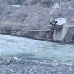 daily_gifdump_4946_17.gif