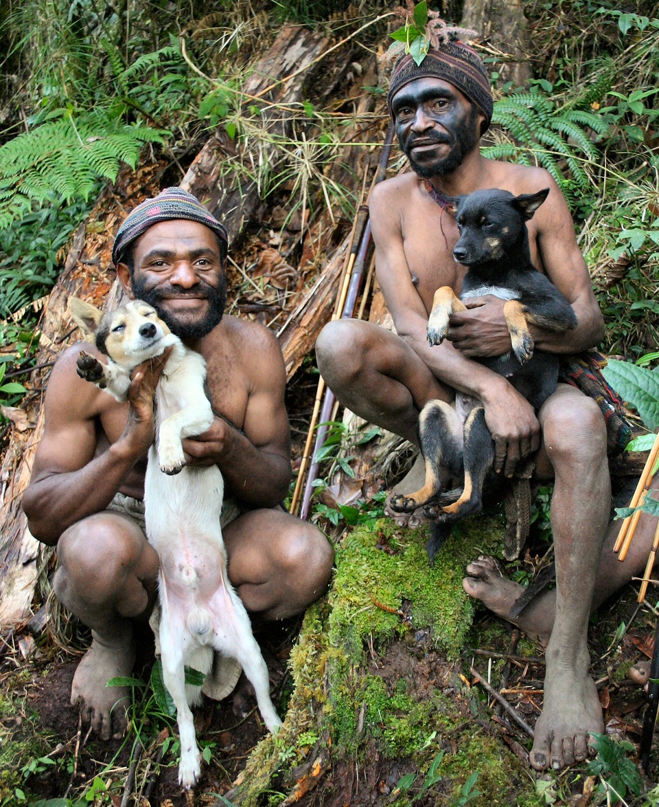 aborignies-new-guinea-prize-singing-dog-its-hunting-ability-colin-regal-and-ebc.jpg