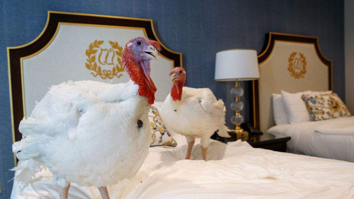 https%3A%2F%2Fcdn.cnn.com%2Fcnnnext%2Fdam%2Fassets%2F191125144048-1-turkey-pardon-2019.jpg