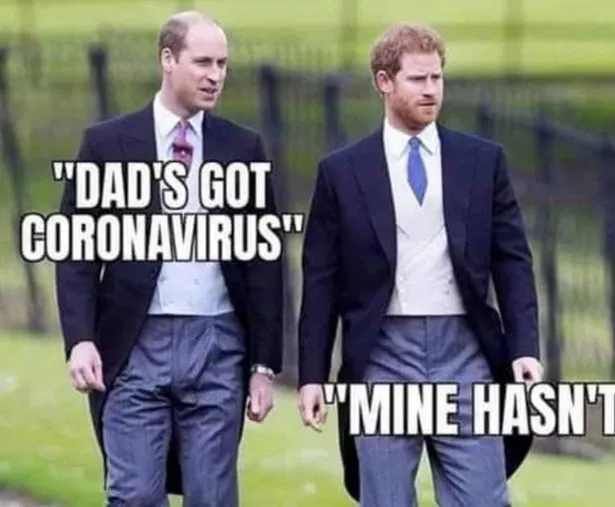 0_Prince-William-and-Prince-Harry-dad-memes.jpg