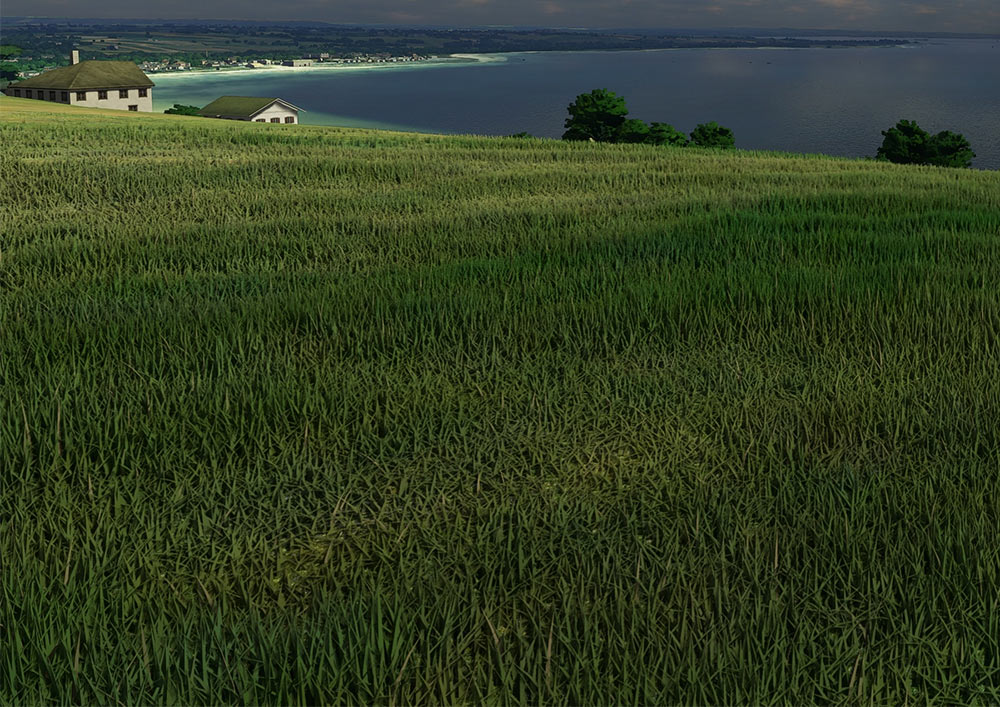 flightsim-grass.jpg