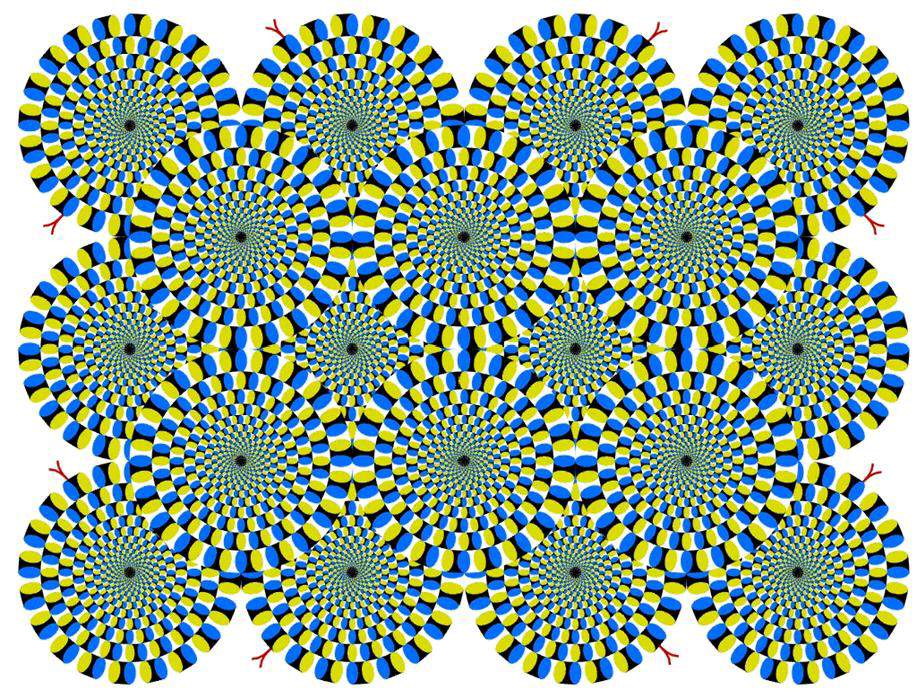 opticalillusion1.jpg