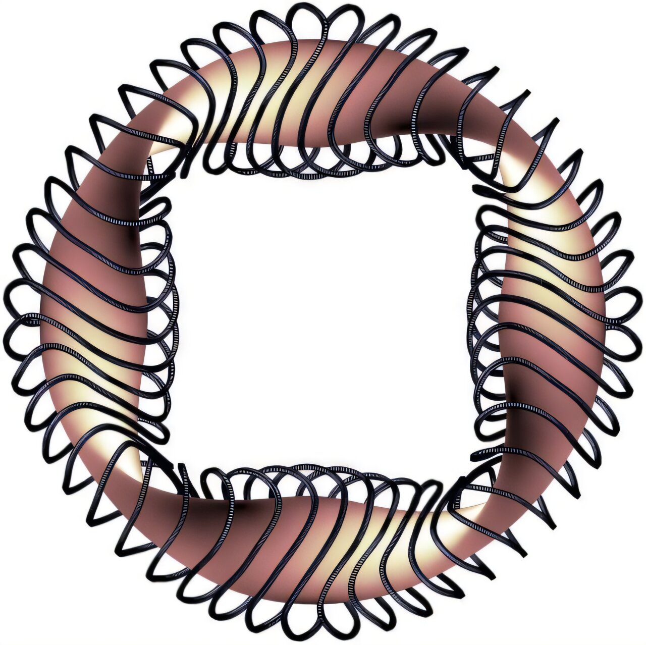 phys.org
