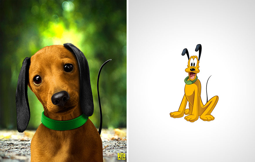 How-Animals-Cartoon-Characters-Would-Look-In-Real-Life-5fbcfbfc8134b__880.jpg