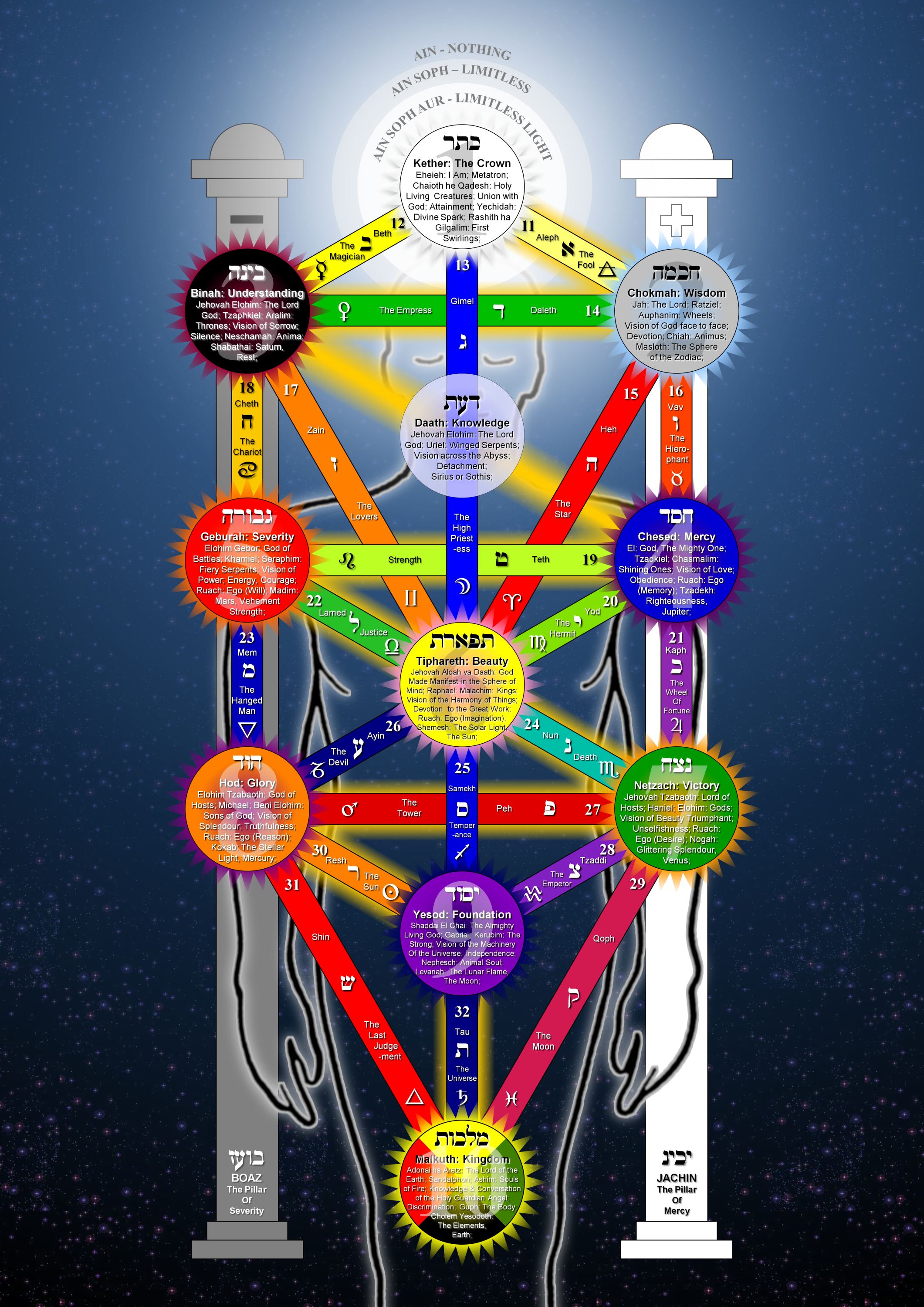 Tree_of_Life_2009_large.png