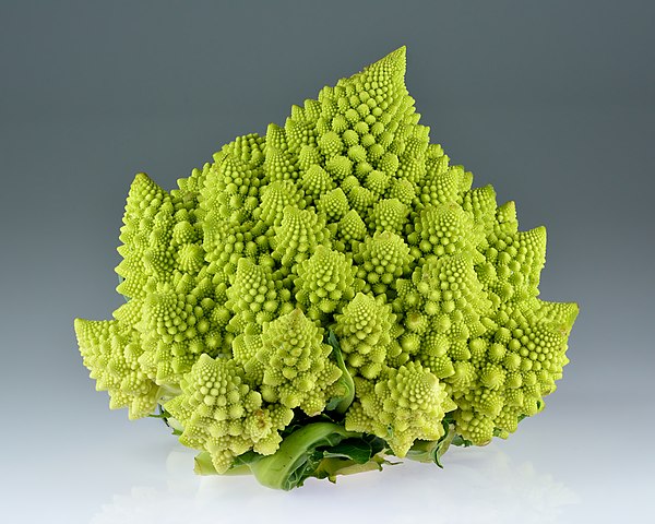 600px-Romanesco_broccoli_%28Brassica_oleracea%29.jpg