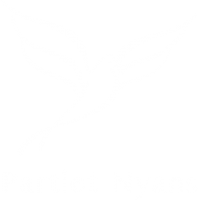 www.partietnyans.se