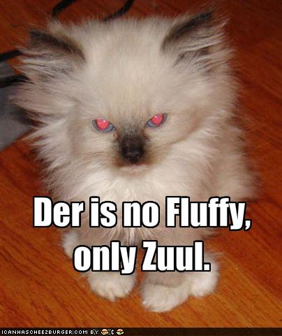 Der-Is-No-Fluffy-Only-Zuul-Funny-Evil-Puppy.jpg