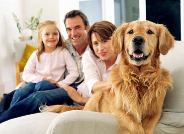 www.morrisanimalinn.com